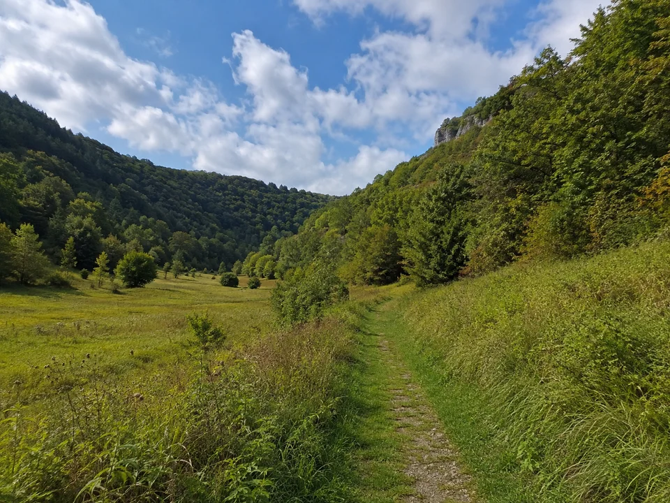 Ammerbacher Seitental: Schmaler grüner Talweg zwischen Wiesen und bewaldeten steileren Mittelgebirgshängen