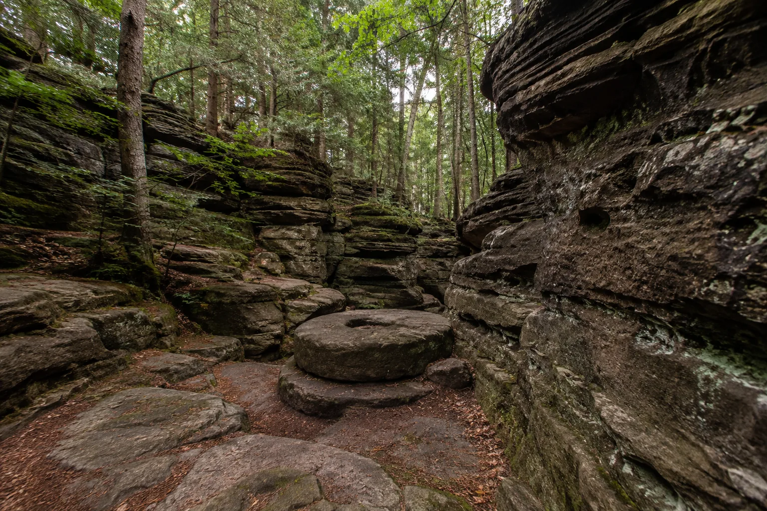 Mühlsteinbrüche: historische Bruchwände und bizarre Felsformen im Wald