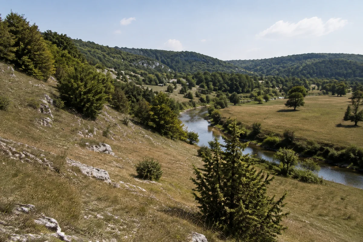 Lauterachtal bei Hohenburg mit trockenen kalkigen Wiesenhängen, einzelnen Wacholderbüschen, kleinem Fluss und niedrigen Waldhöhen.