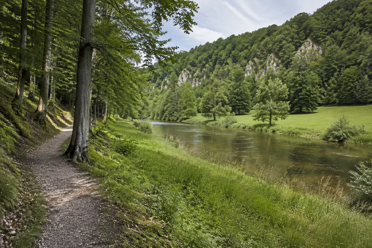 Jurasteig: Grüne Naabtallandschaft bei Pielenhofen, Flusswiese unter bewaldeten Kalkhängen, lichter Buchenwald an einem Wanderpfad.