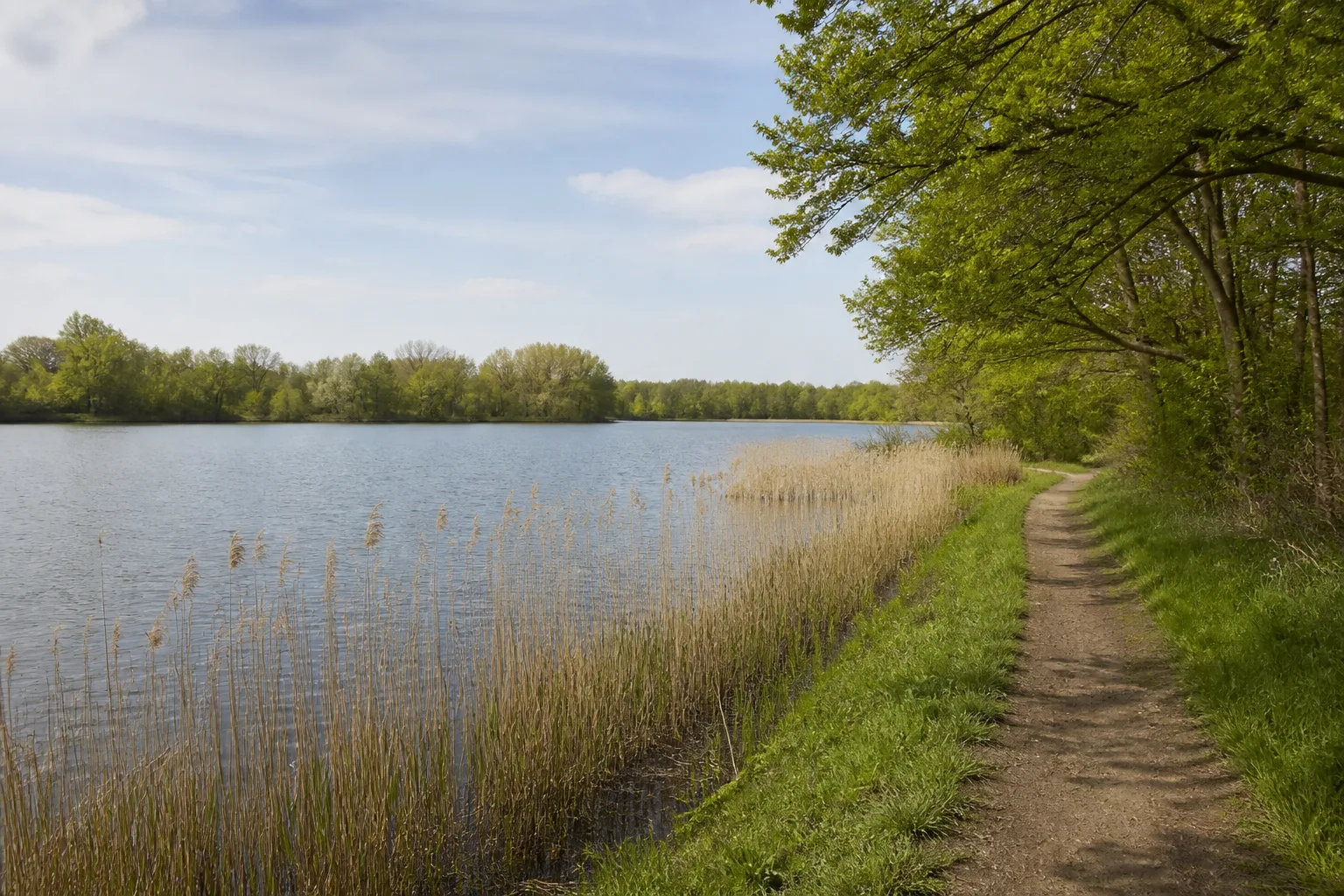 Kaarster See beim Wandern in Kaarst