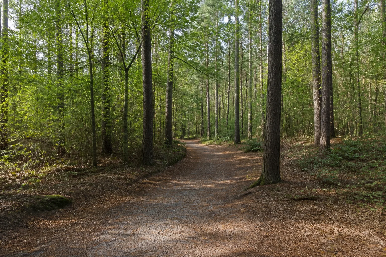 Kaarst: Landschaft beim Wandern in Kaarst