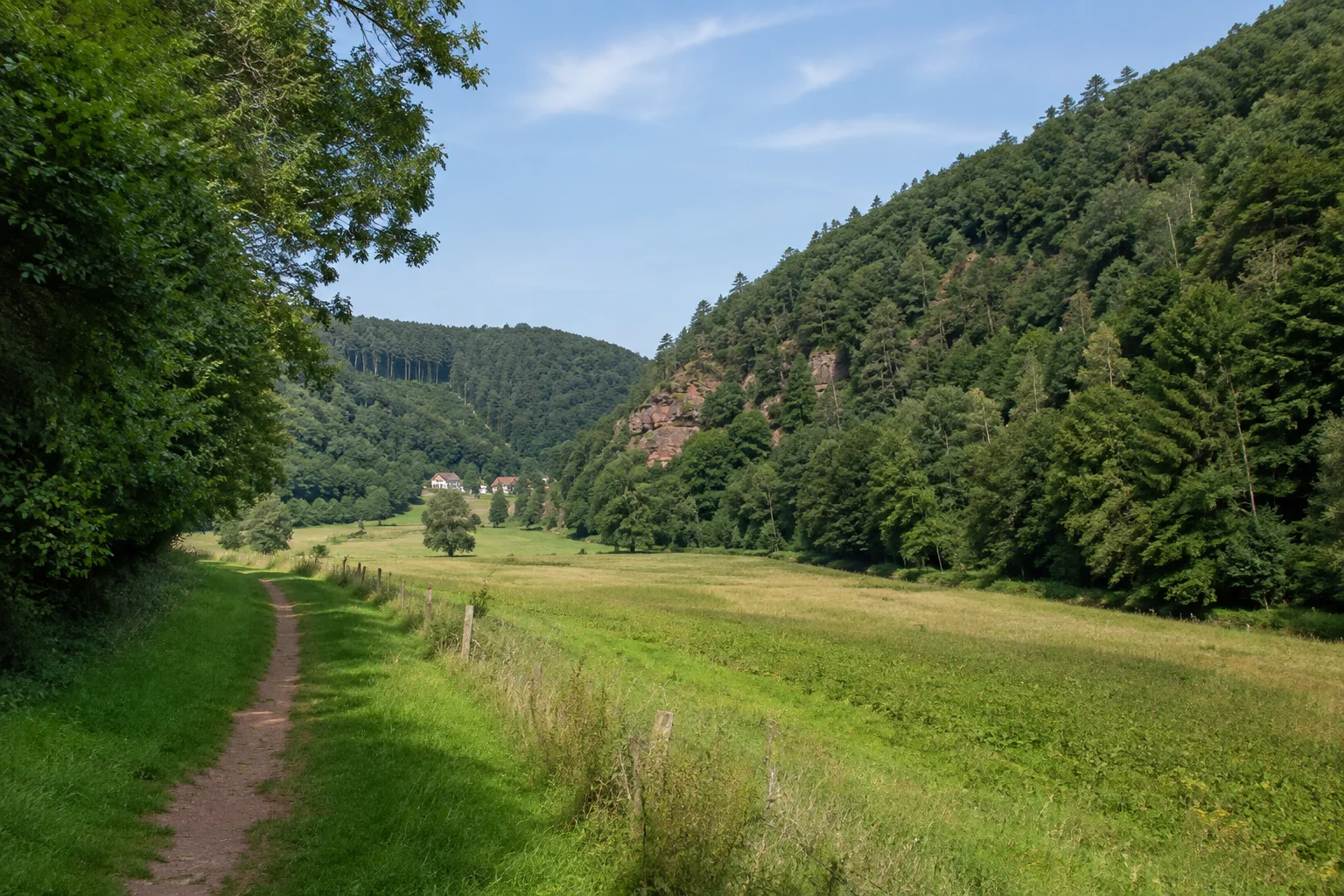 Mölschbacher Tal: grüner Wiesenweg am Rand eines schmalen Tals mit dicht bewaldeten Buntsandsteinhängen, einzelne Dorfhäuser weit entfernt.