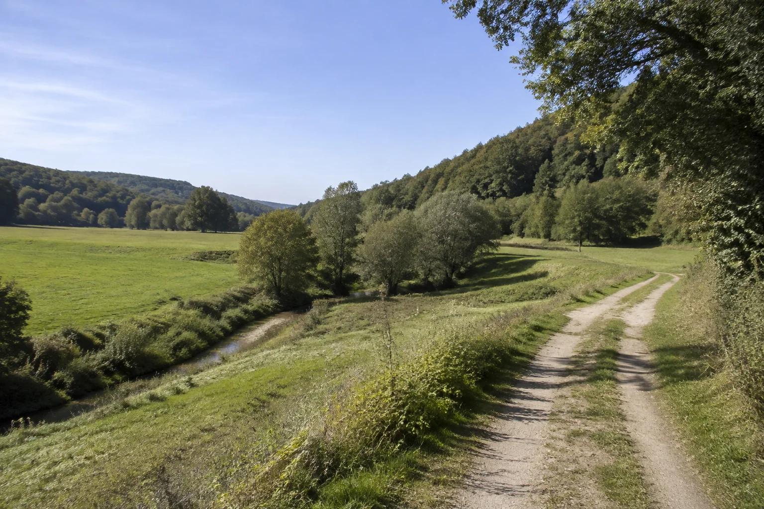 Erfenbacher Landschaft: offene Wiesen mit Bachgehölz, Feldweg und sanften Waldhügeln am Rand des Kaiserslauterer Beckens.