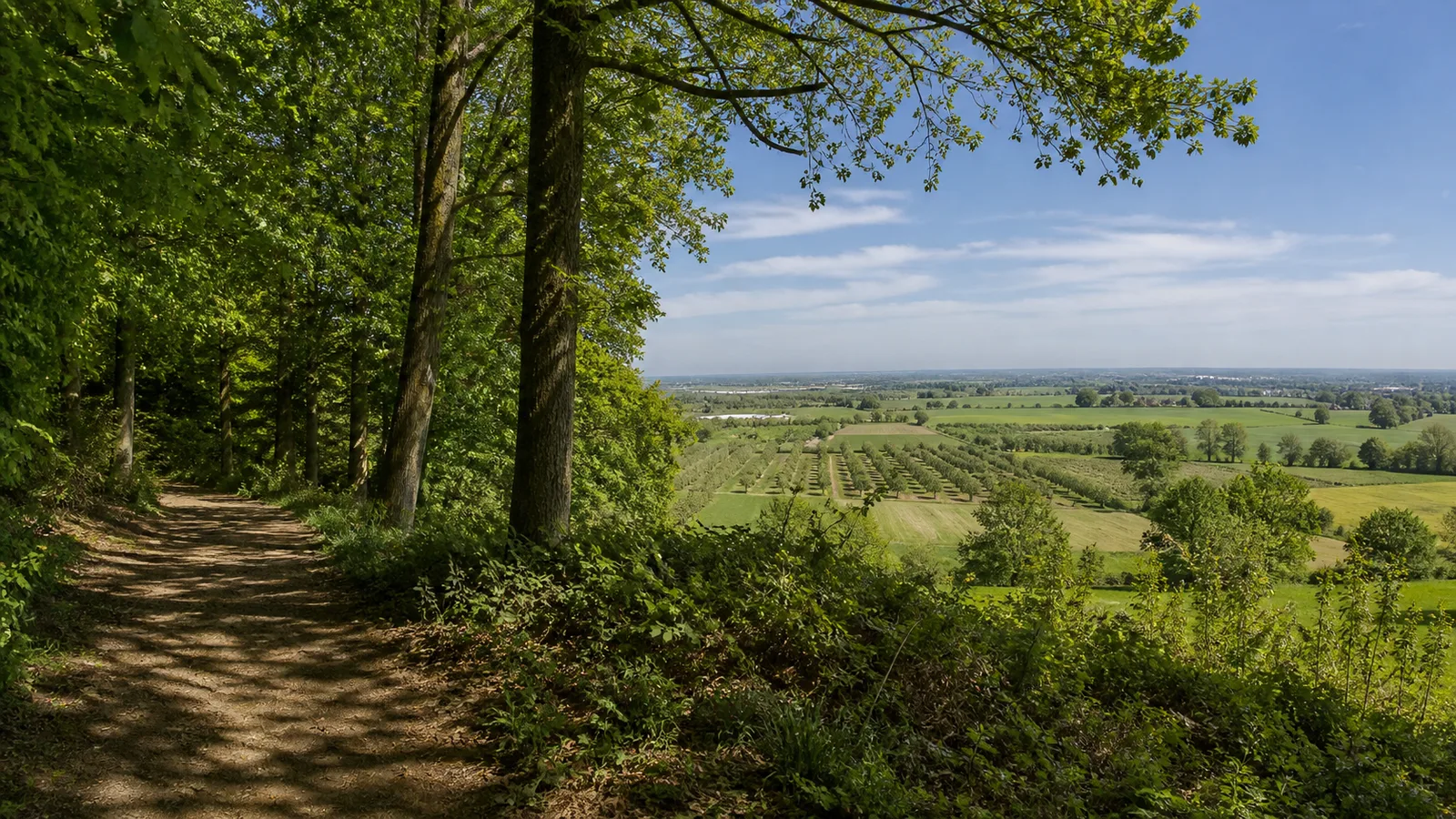 Waldweg am Monreberg bei Kalkar
