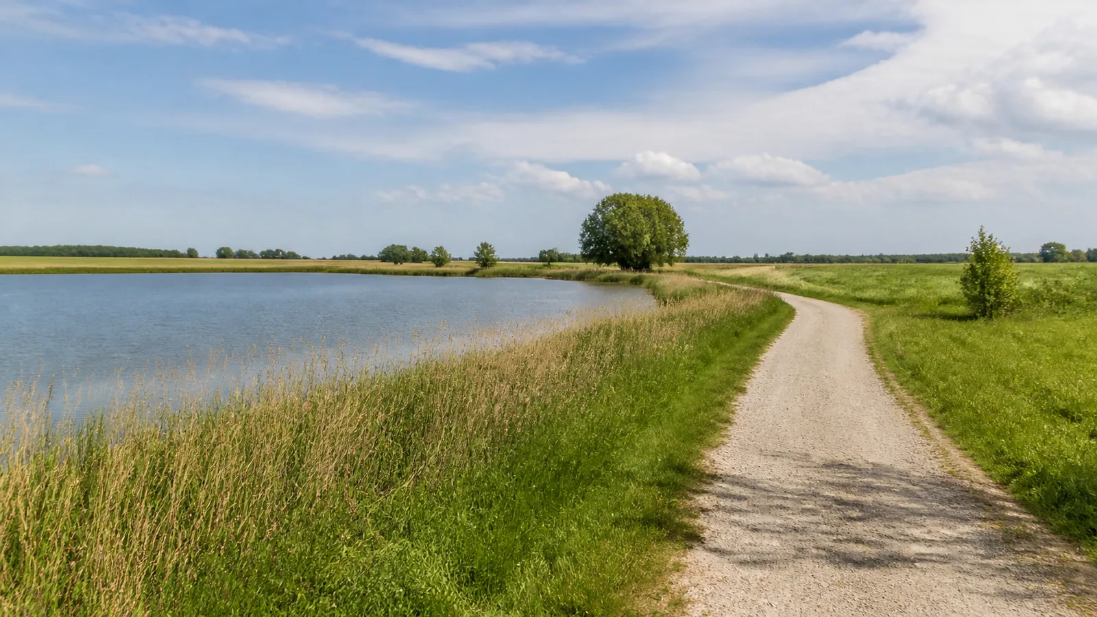 Wiesenweg am Wisseler See bei Kalkar