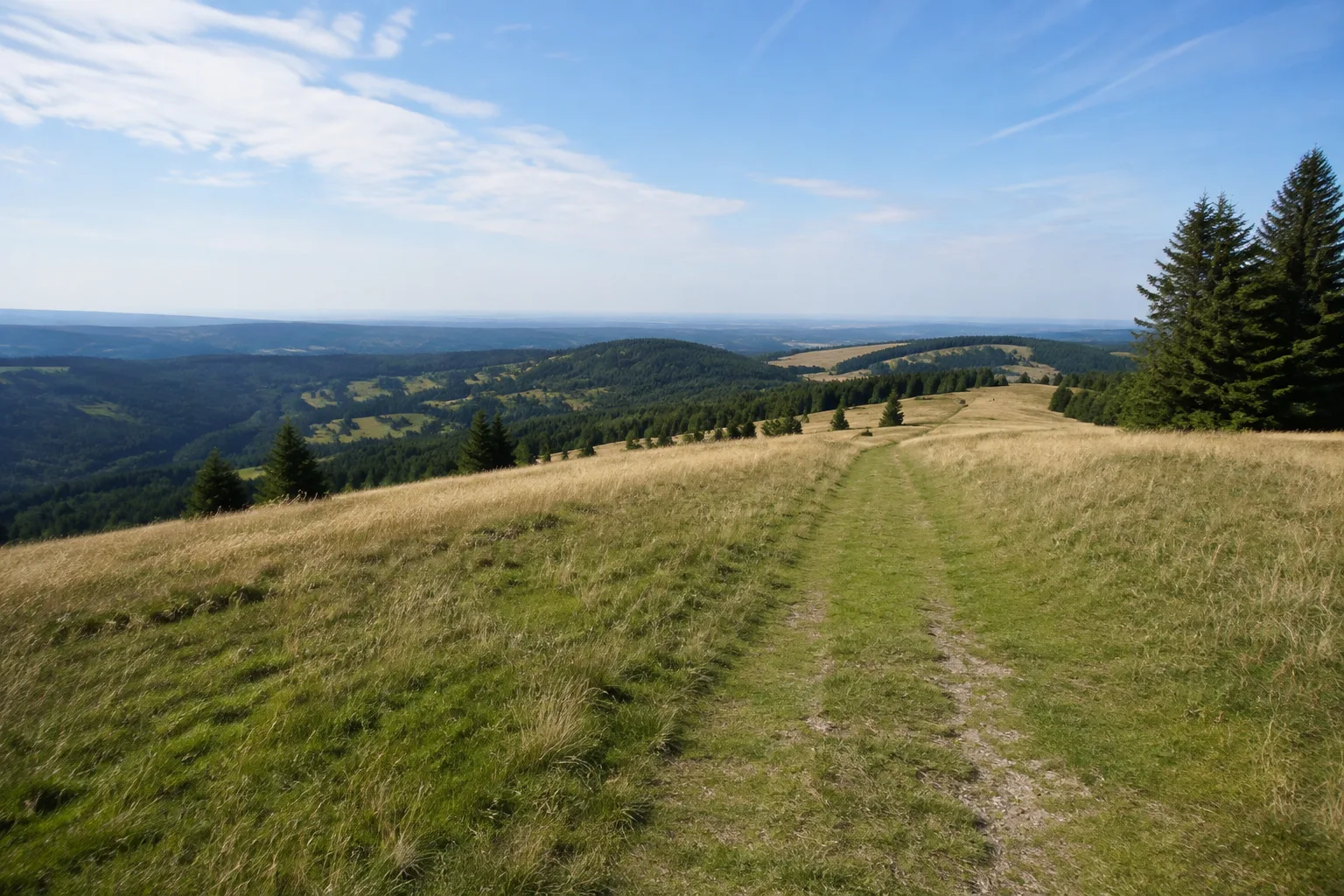 Vogtlandkamm: offener Höhenweg am Aschberg mit weitem Blick