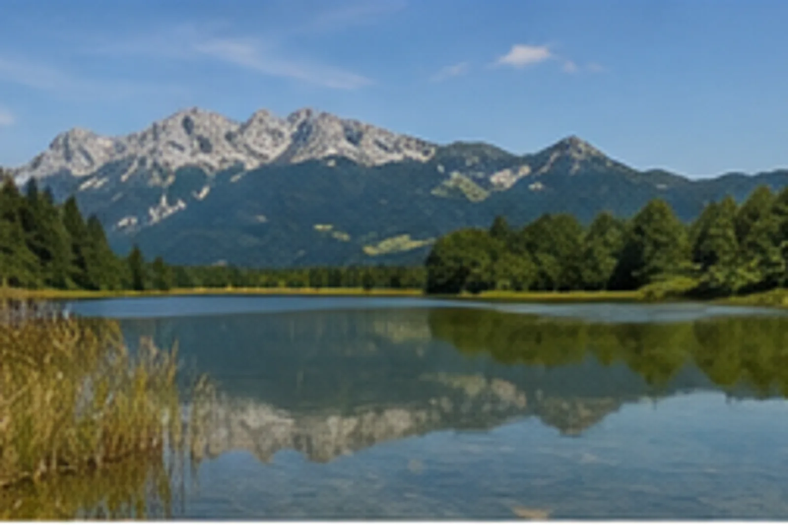 Bärnsee: Moorsee mit fernem Kampenwandblick
