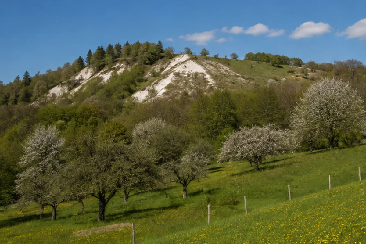 Streuobstwiesen am östlichen Karstwanderweg Südharz