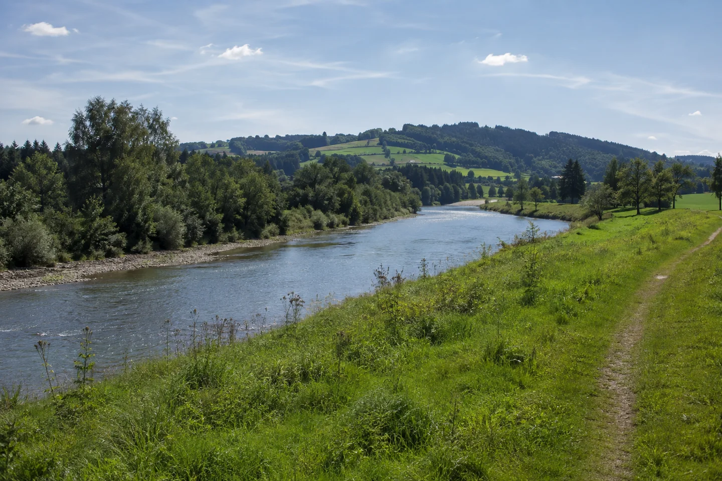 Hirschzell: Wertach mit Ufergehölzen, breiter Flussraum im hügeligen nördlichen Allgäu