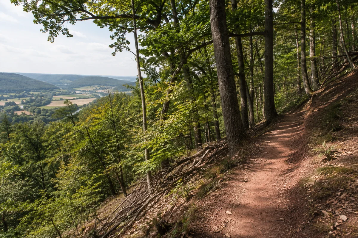 Laubach: steilerer Laubwaldhang über dem Werratal mit rötlicher sandiger Wegerde