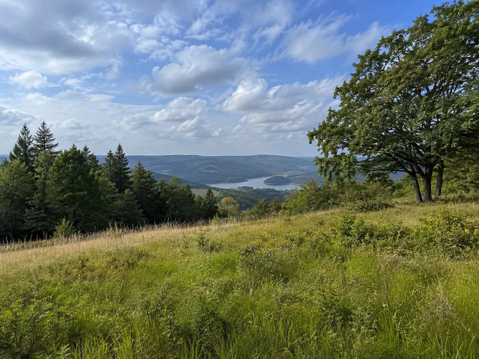 Waldecker Höhen: offene Höhe mit Blick zum Edersee