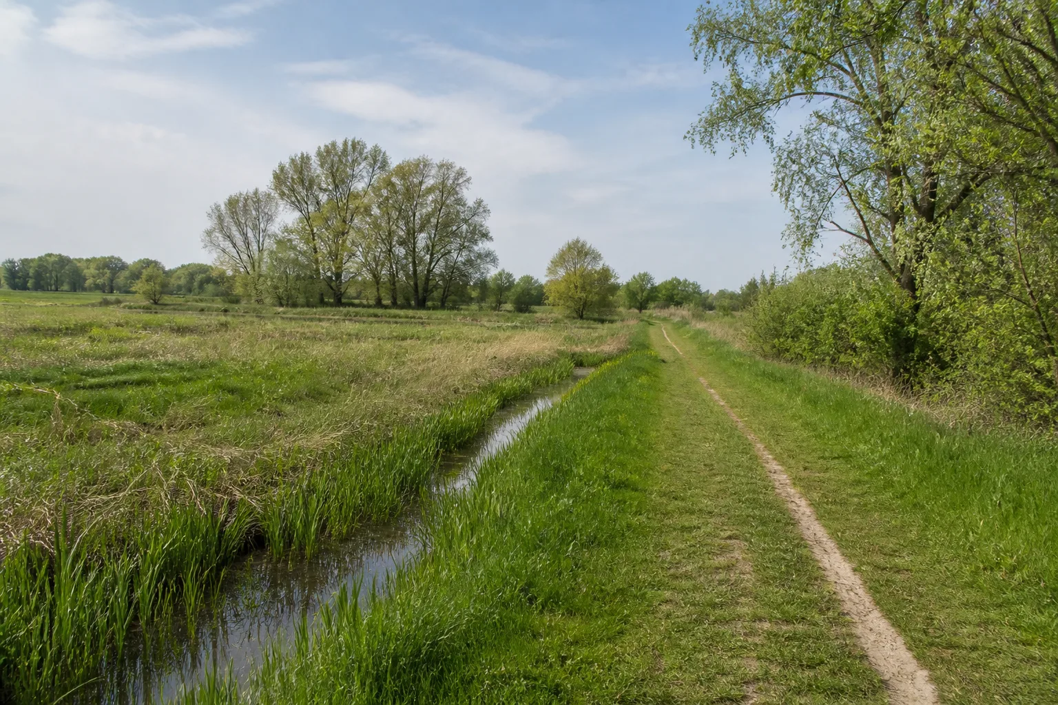 Kerken: Landschaft beim Wandern in Kerken