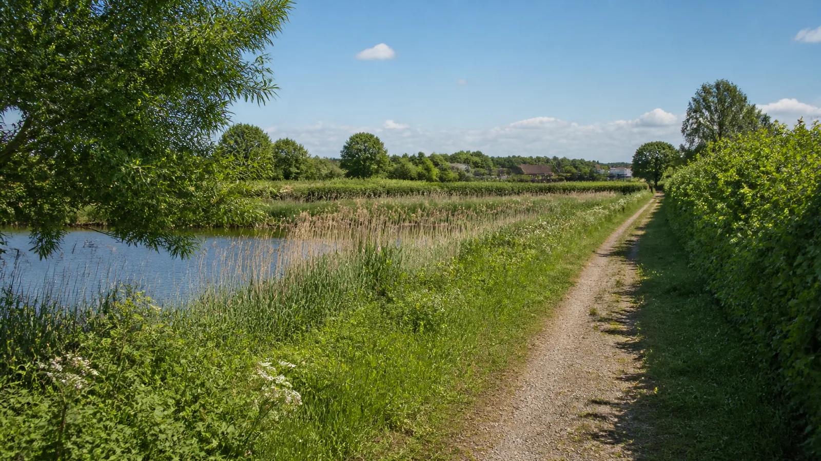 Feldweg an einem Kiessee bei Kevelaer-Kervenheim