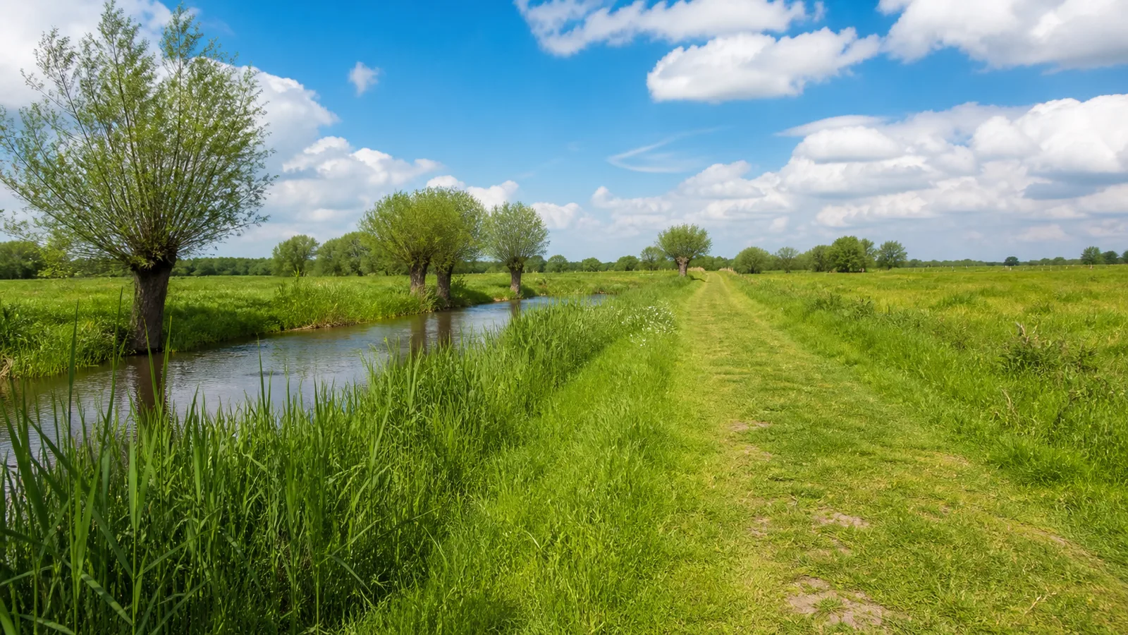 Wiesenweg an der Niers bei Kevelaer-Wetten