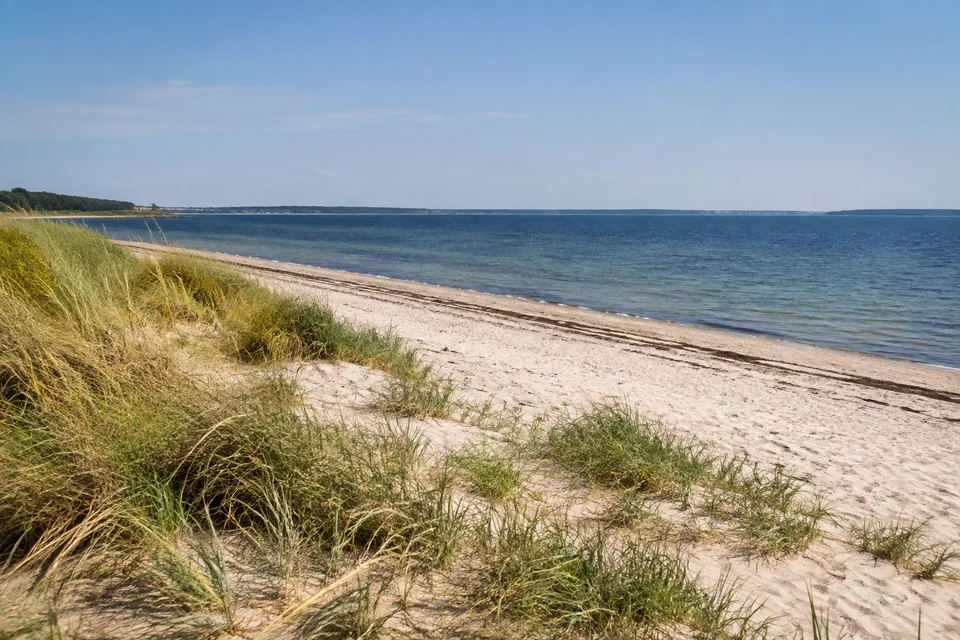 Falckensteiner Strand: Breiter heller Sandstrand mit niedrigen Küstendünen und Strandhafer an der Kieler Förde
