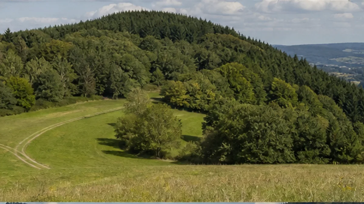 Waldhöhe bei Wienhagen