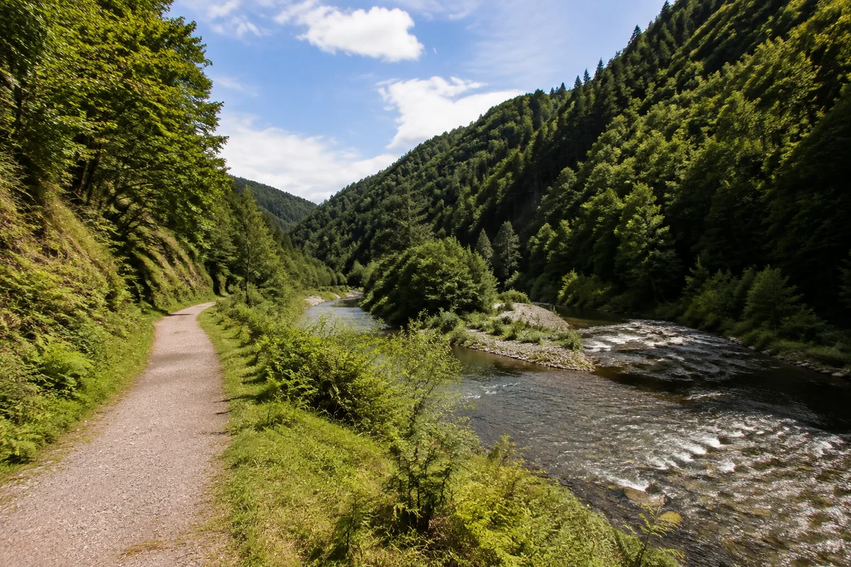 Zusammenfluss von Kinzig und Schiltach zwischen eng stehenden bewaldeten Bergrücken.