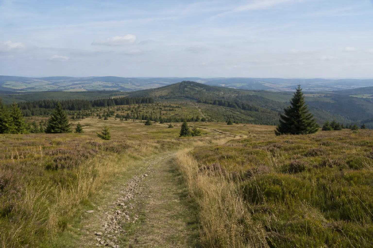 Höhenweg über Bergwiesen bei Kirchhundem-Oberhundem