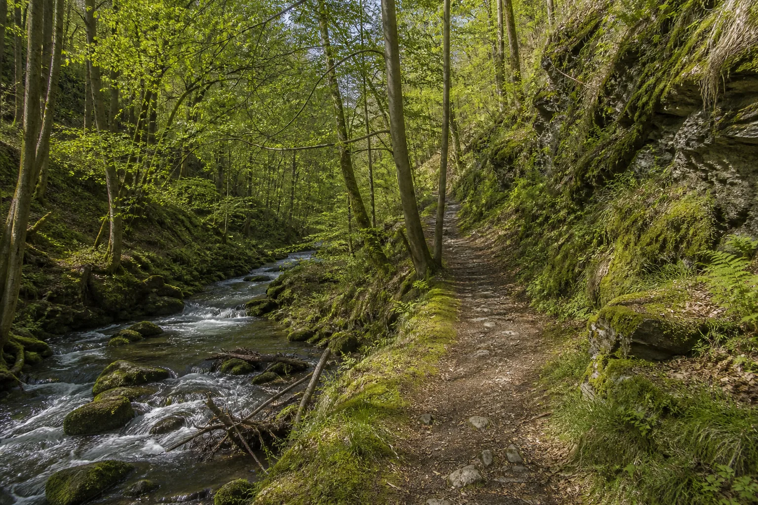 Naturpfad im Schwarzbachtal bei Kirchhundem-Heinsberg