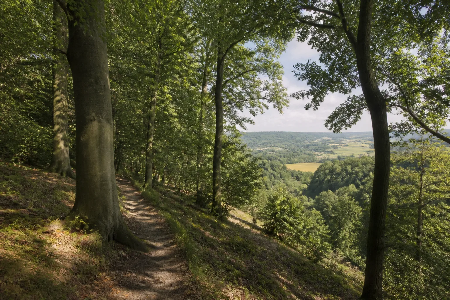Reesberg in Kirchlengern