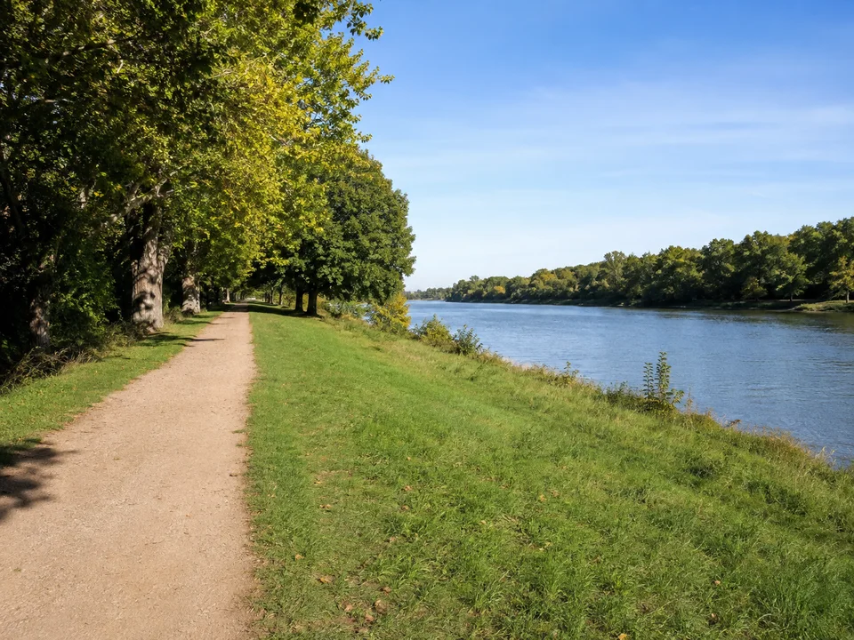 Mainanlagen in Etwashausen: Flacher gepflegter Fußweg am östlichen Mainufer in Etwashausen mit Wiesen, alten Bäumen und breitem Fluss