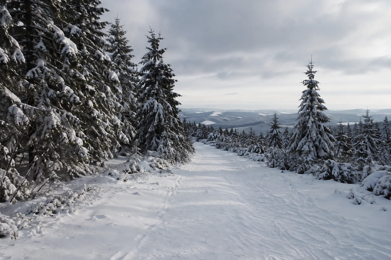 Mühlleithener Kamm: breiter Naturweg durch winterlichen Bergwald