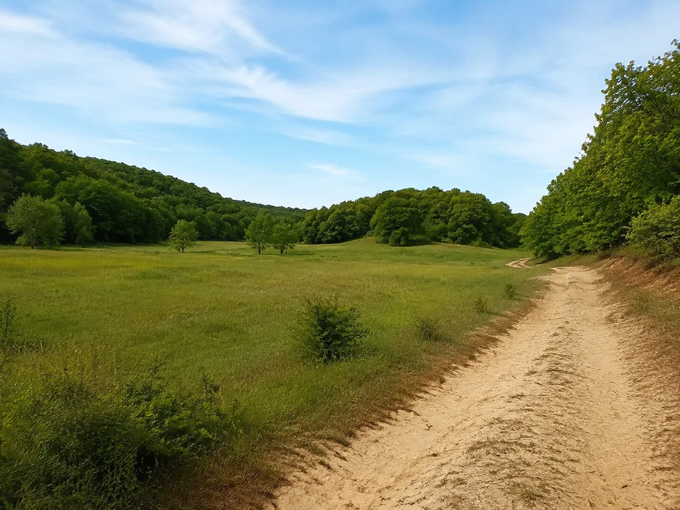 Jemmeritzer Waldwiesen: Kleine grüne Wiese zwischen niedrigen bewaldeten Hügeln mit sandigem Randweg