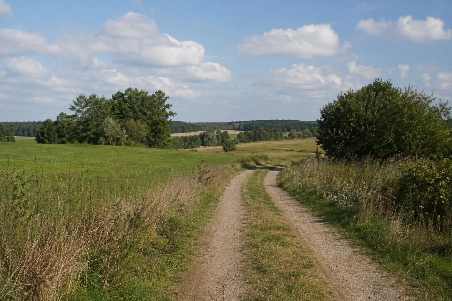 Damsdorfer Feldflur: leicht gewellter Feldweg mit Wiesen, Baumgruppen und niedrigem Waldhorizont