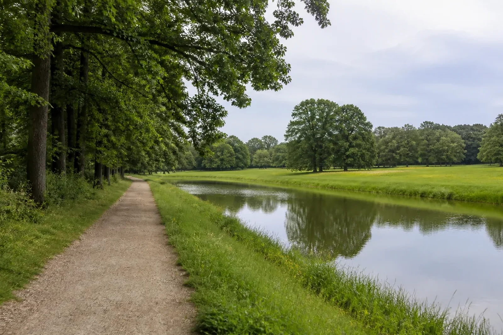 Weiter Wiesen- und Waldweg im Äußeren Grüngürtel von Köln