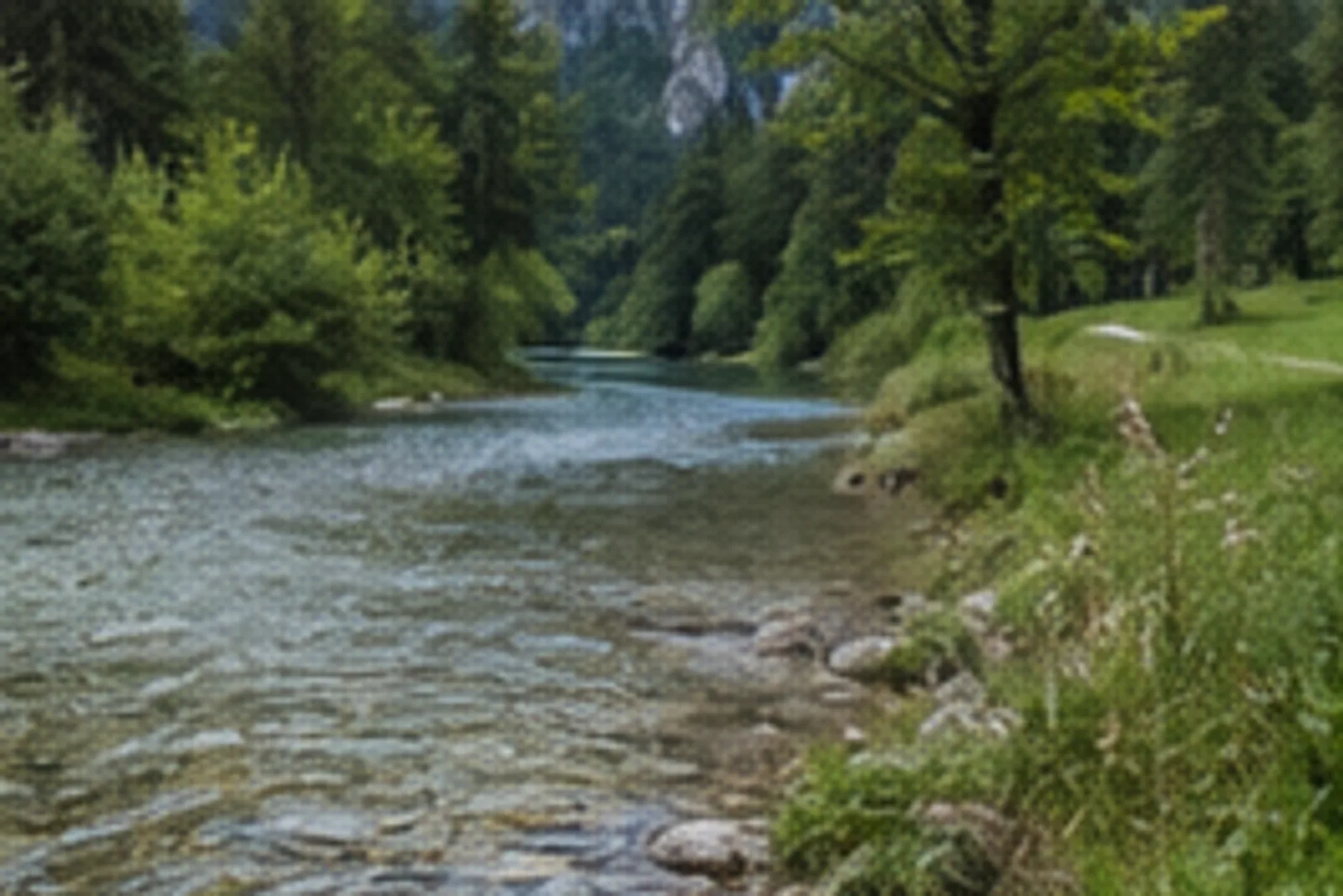 Königsseer Ache: klarer Ausfluss zwischen Schönau und Seelände