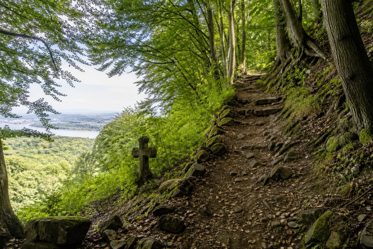 Steiler Waldweg am Petersberg mit historischem Wegekreuz und Rheinblick