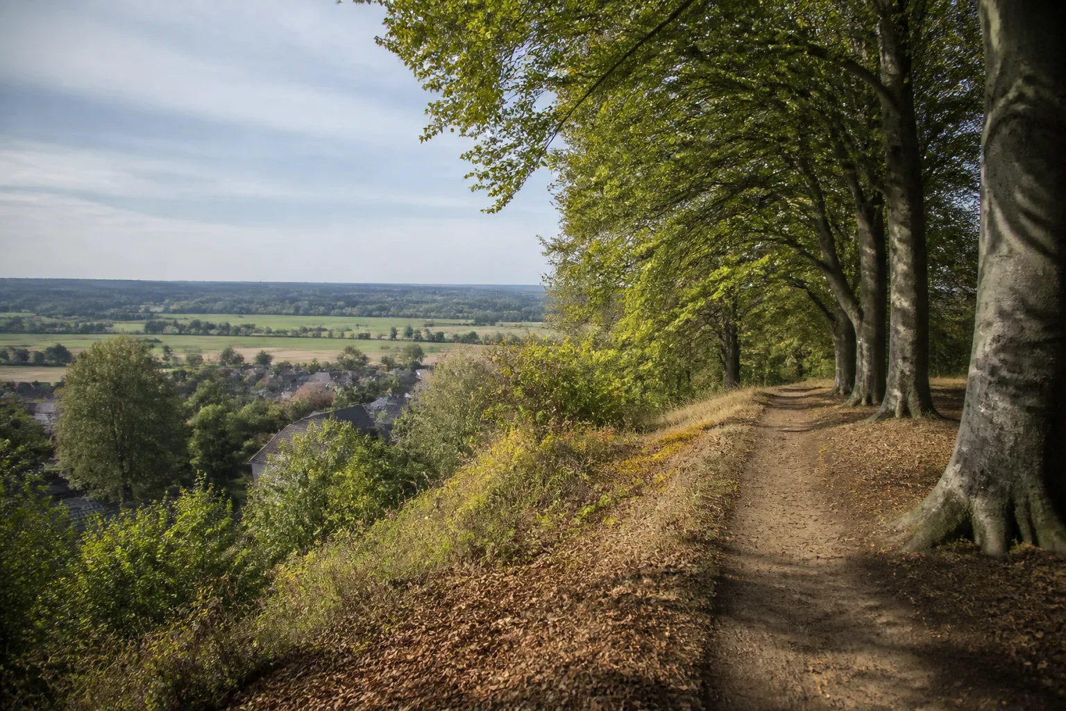 Korschenbroich: Landschaft beim Wandern in Korschenbroich