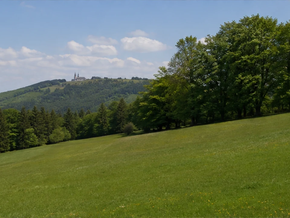 Klosterhang: Bergwiese und Wald nahe der Klosteranlage