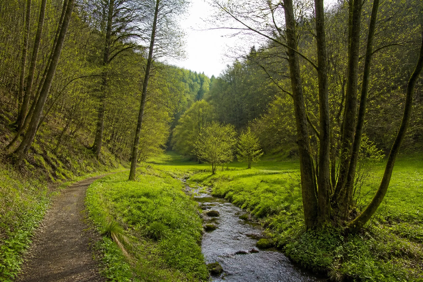 Wanderweg im Zitzenbachtal