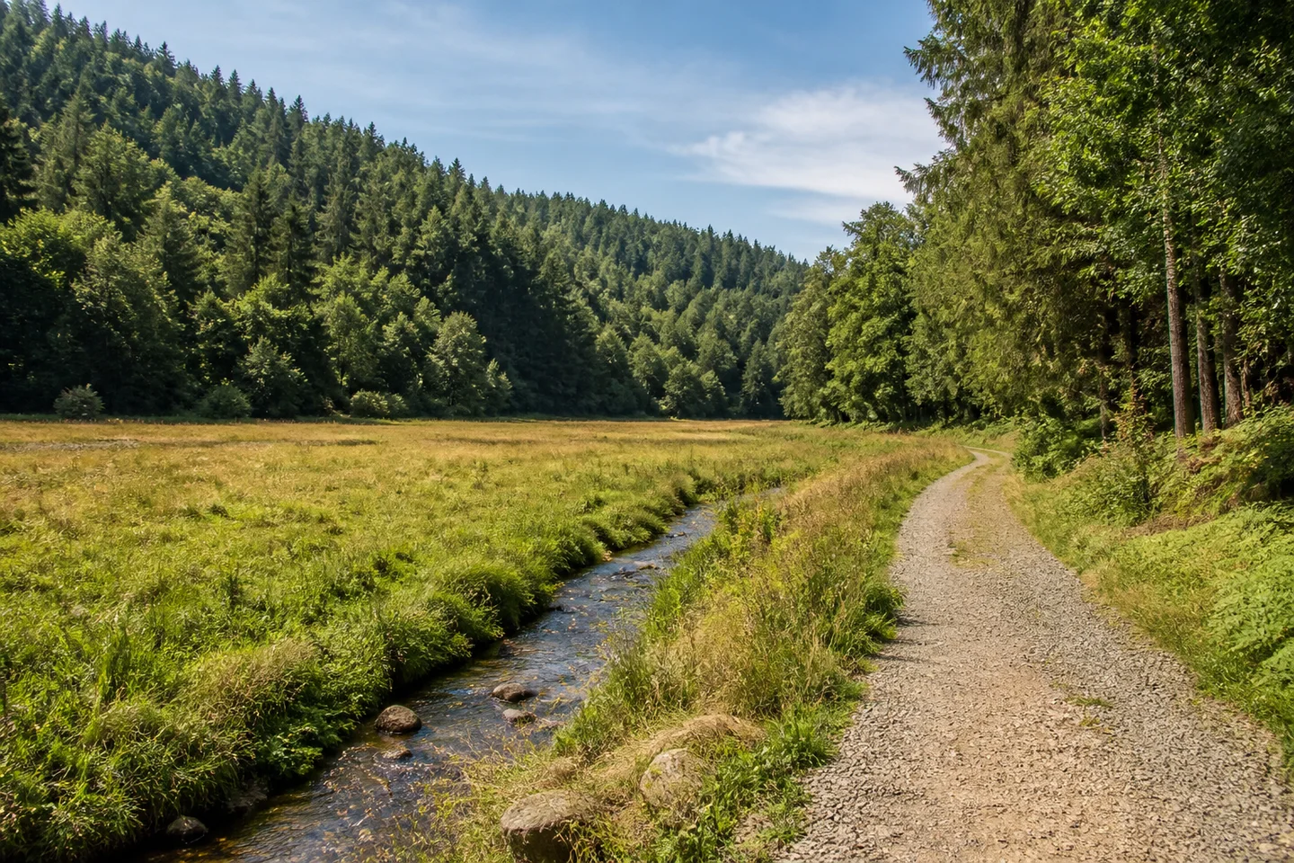 Schmaler Bachlauf im Kronachtal bei Friesen, lange Talwiese unter bewaldeten Frankenwaldhängen, geschotterter Weg am Wiesenrand.