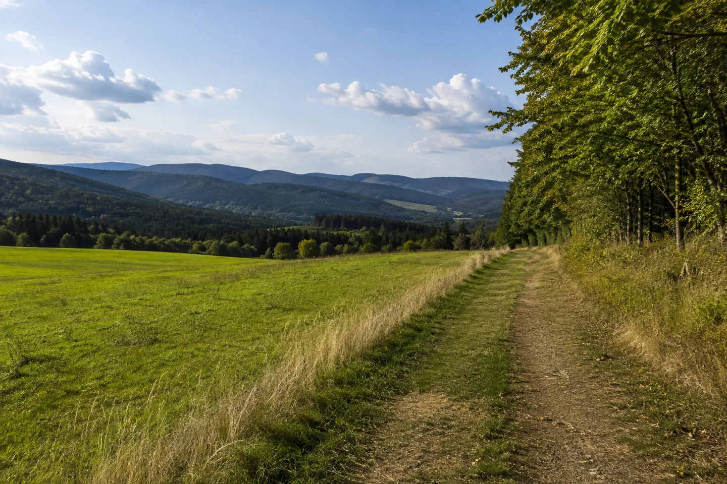 Offene Wiesenhöhe bei Gehülz westlich Kronach, Feldweg zwischen Grünland und Waldsäumen, gestaffelte dunkle Frankenwaldhügel im Hintergrund.
