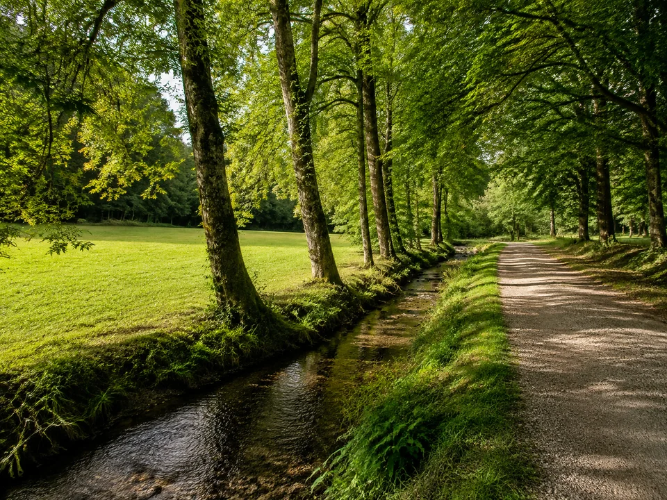 Kronthaler Parkbach: Schmaler Bach unter alten Laubbäumen zwischen grünen Parkwiesen und einem ebenen Kiesweg