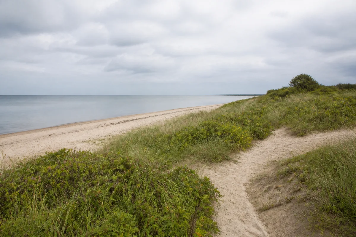 Kühlungsborner Sandstrand mit flacher Ostsee und niedriger grüner Küste ohne Gebäude