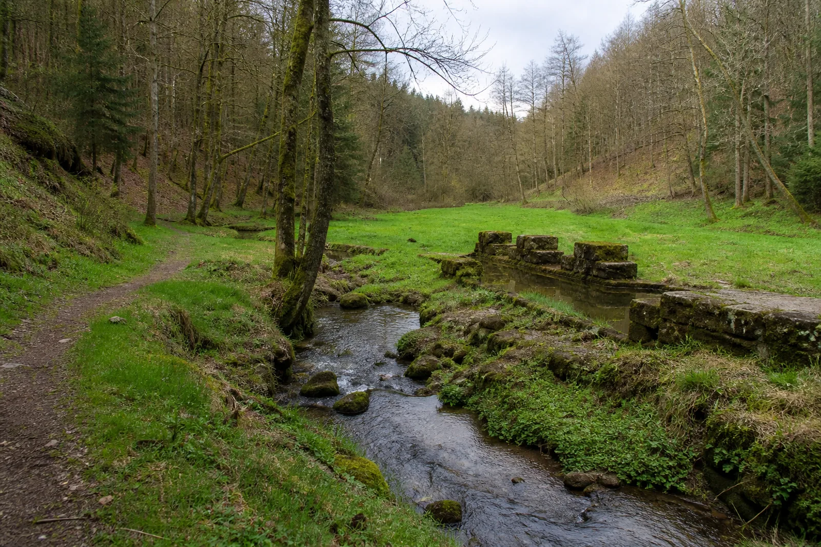 Weg an der Kürtener Sülz bei Junkermühle