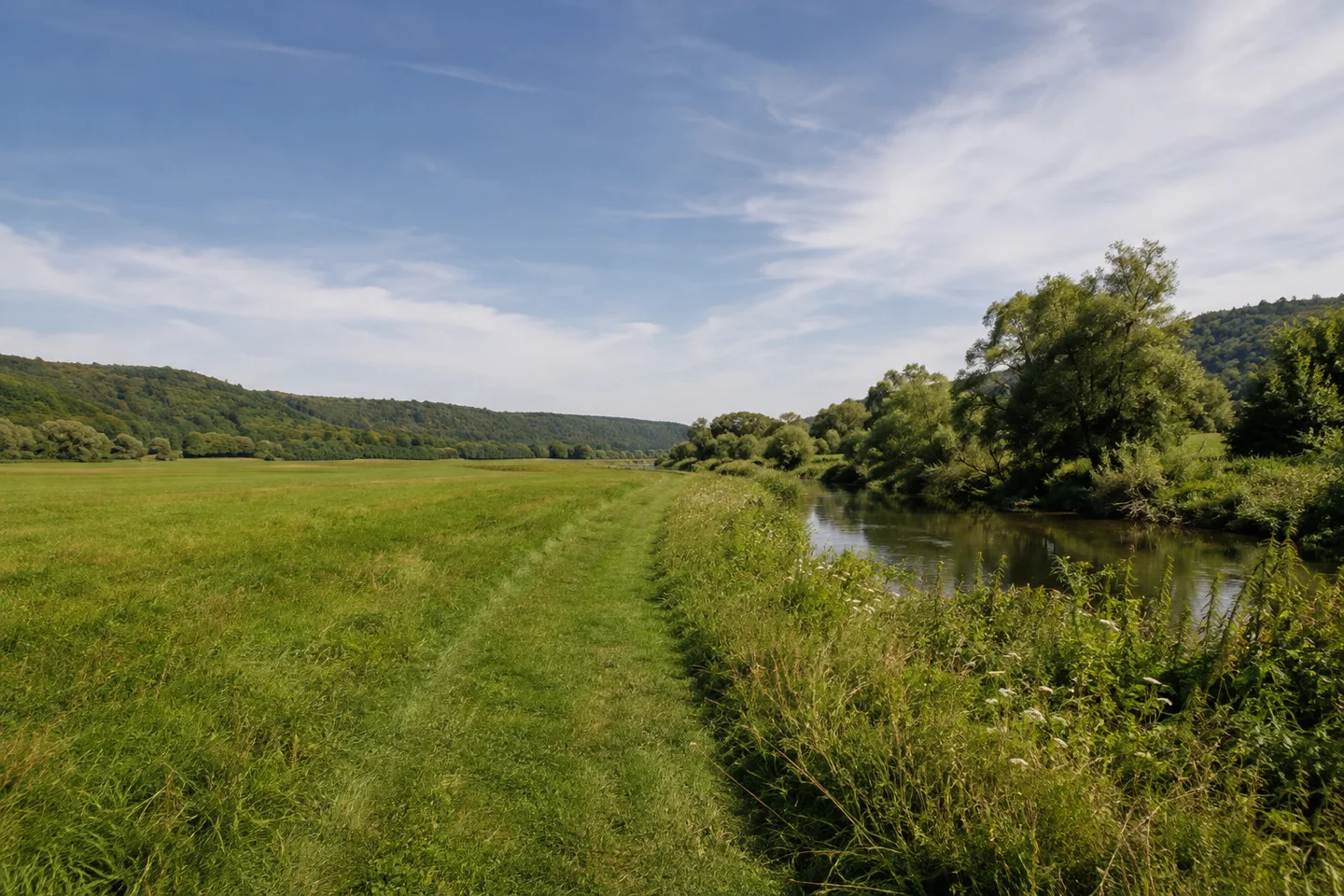 Breite offene Mainaue bei Melkendorf, grüner Wiesenweg und schmaler Fluss mit Weiden, nur niedrige bewaldete Talränder, natürliches Tageslicht.