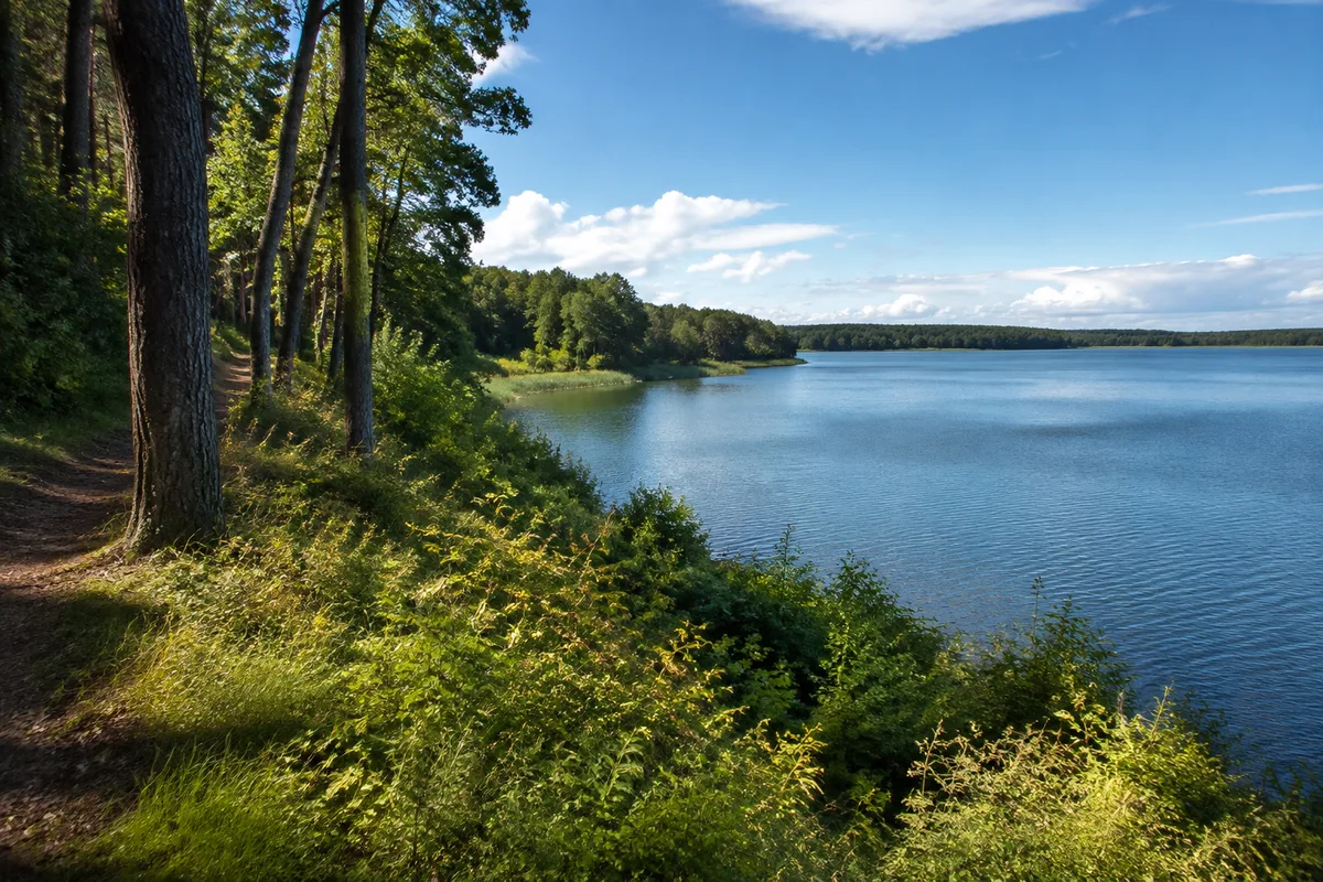 Bewaldeter Moränenhang am westlichen Kummerower See bei Salem