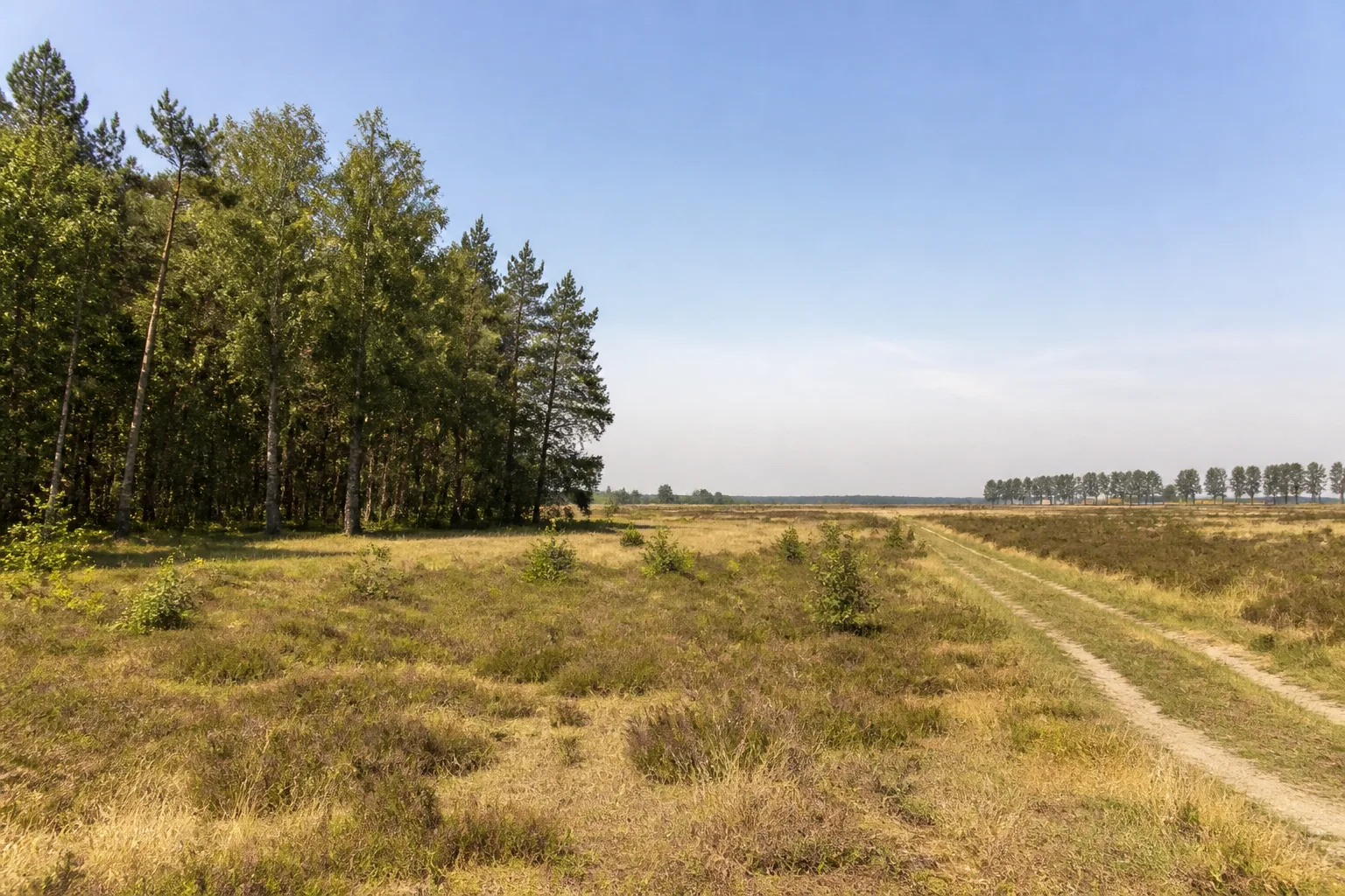 Ladbergen: Ladberger Mühlenbach