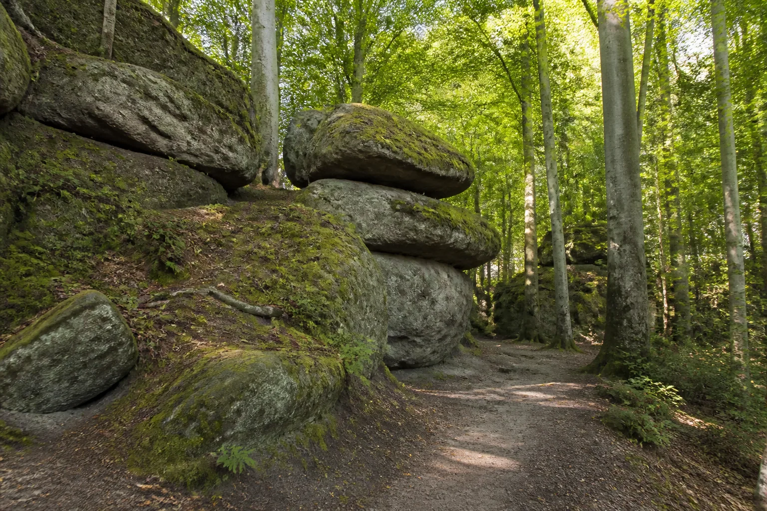 Sandsteinblöcke der Johannissteine im Wald