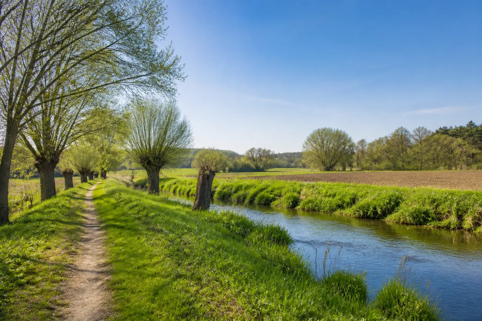 Wiesenweg entlang der Werre bei Lage