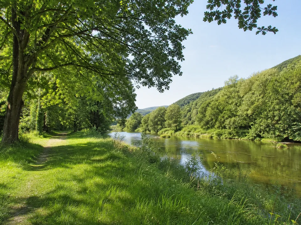 Mittleres Lahntal: Breiter grüner Auenweg neben einem ruhig fließenden Fluss unter alten Laubbäumen