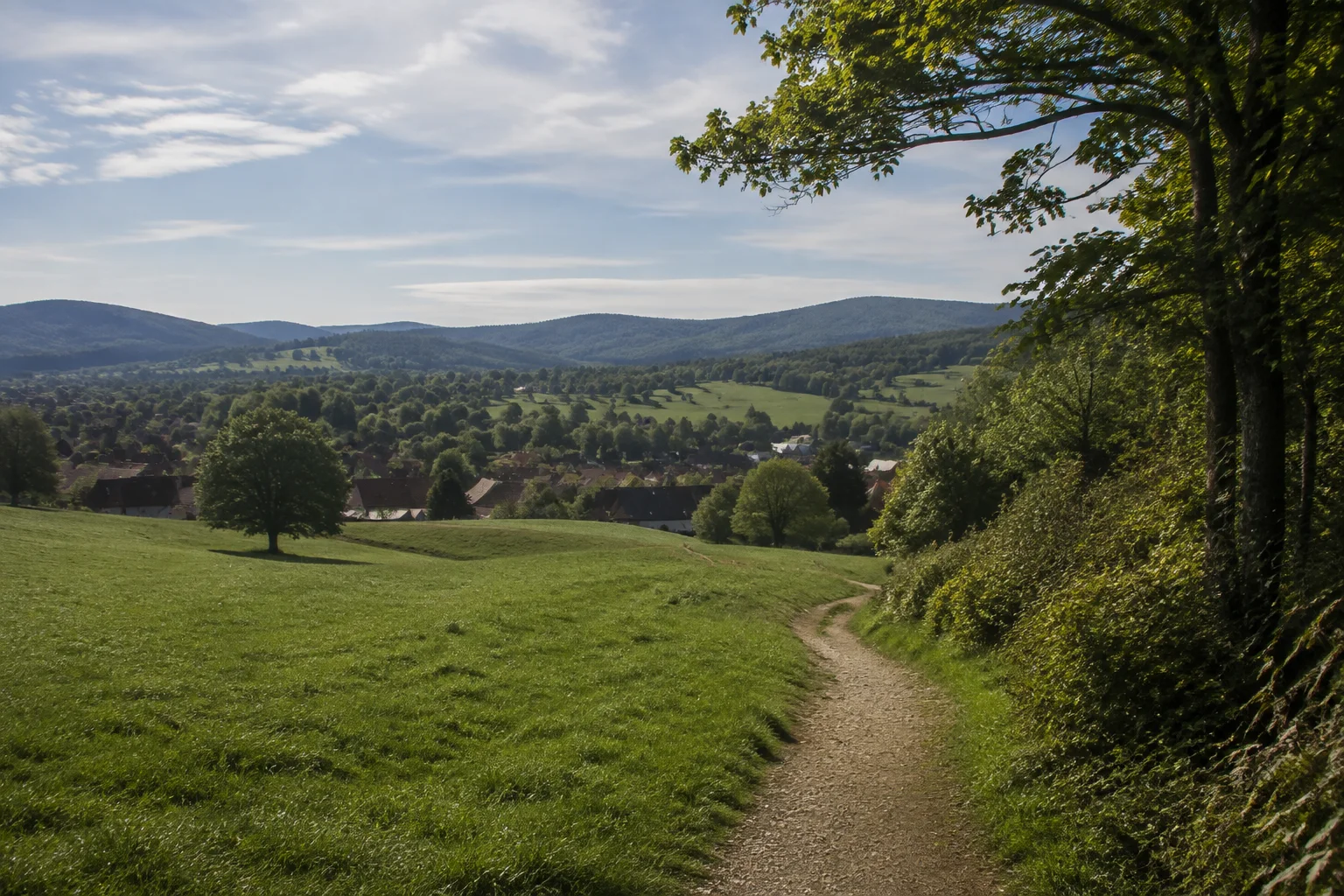 Lam: Wiesen über Lam: sanfter Ortsrandweg mit Blick in das grüne Tal und auf die rundlichen Arberwälder in der Ferne.