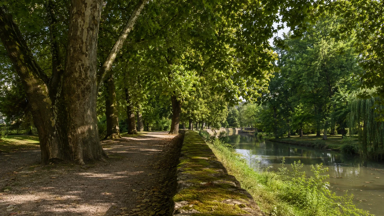 Haardtrand bei Landau: Waldpfad westlich der Stadt