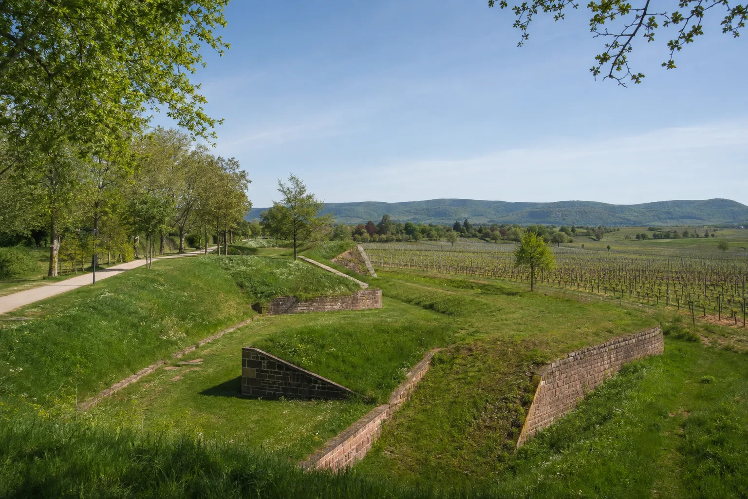 Landau in der Pfalz: Landau in der Pfalz: Landauer Weinland: Rebenwege mit Blick zum Pfälzerwald