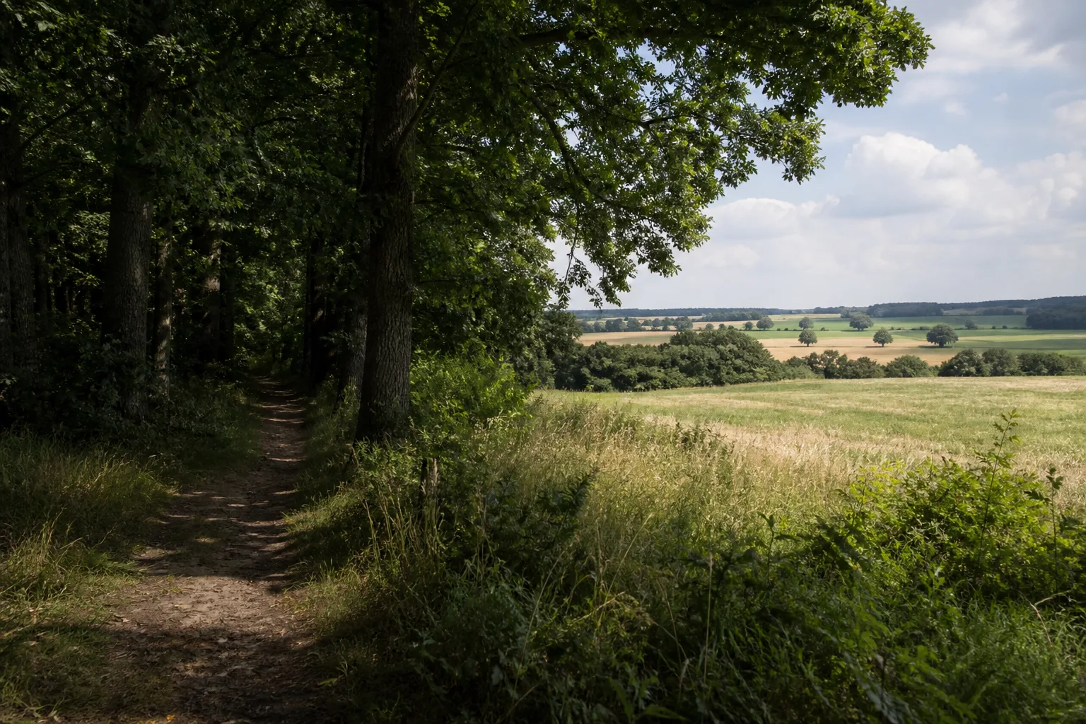 Selhorst beim Wandern in Langenberg